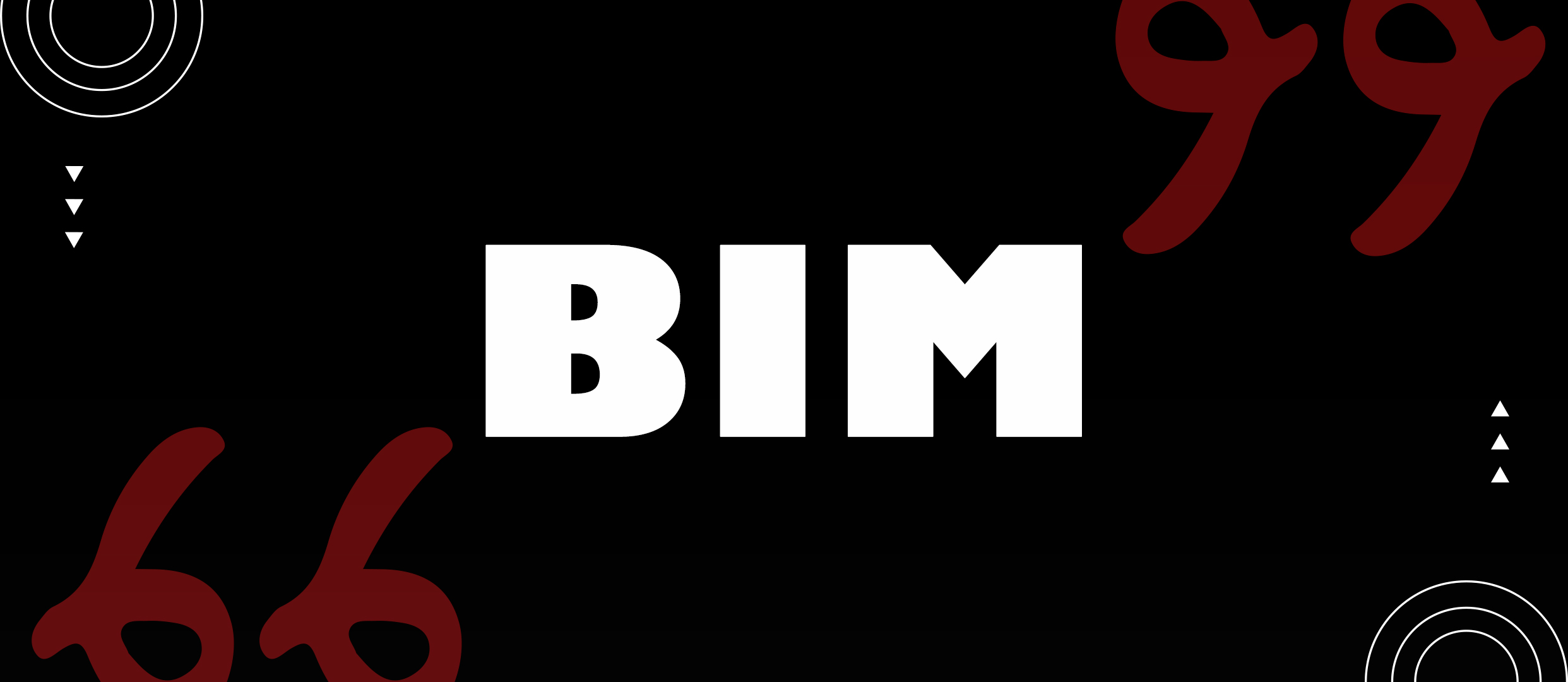 Advanced BIM